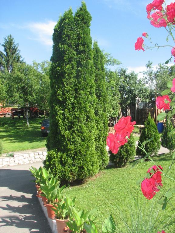 Apartment Ilija Раковица Стая снимка