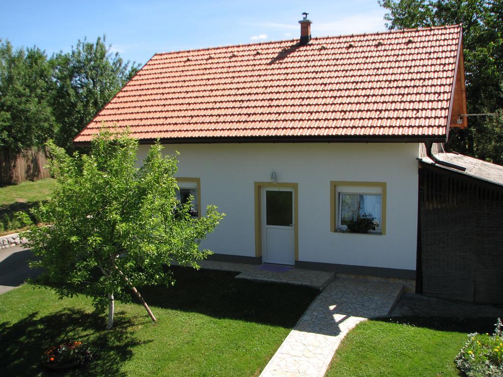 Apartment Ilija Раковица Екстериор снимка